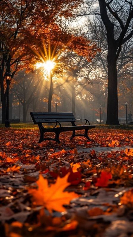 ������� ������ �� �������