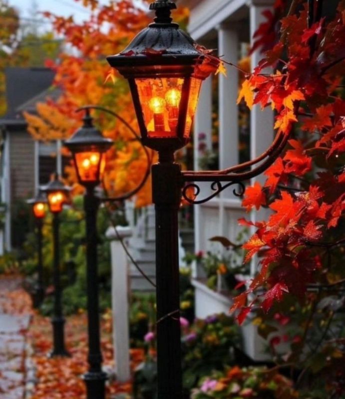 ������ ���� ����!