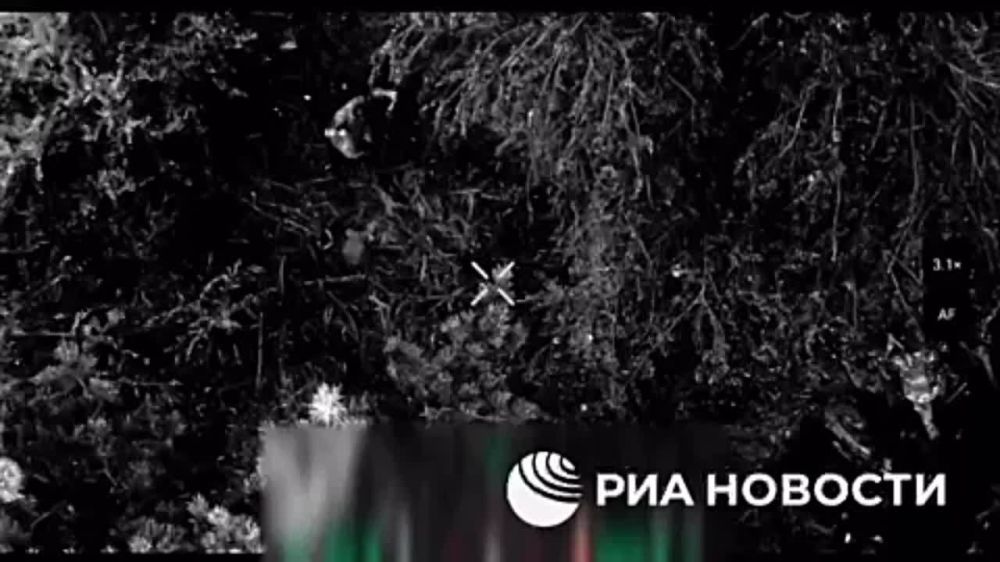 ���������� �������������� ������� ������ �� �� �� ����������� �����������, ������� ������, ��� �� �������� �������� �� �������� ���������� � ��� �������� ������������