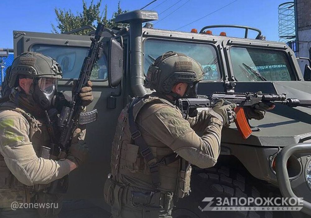 �� � ���������� �������� ������� ������ ������ � 2025� � ������ �������� � ���� ���