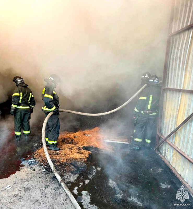 � ������ � ���������� ������ ������� 50 ���� ������� � 5 ���� �������