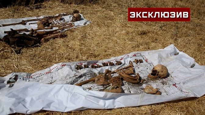 � ����������� ������� ������� ������� ������ ������� ����� 1943 ����