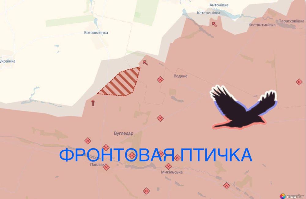 ������������ �����������. ����� �����������