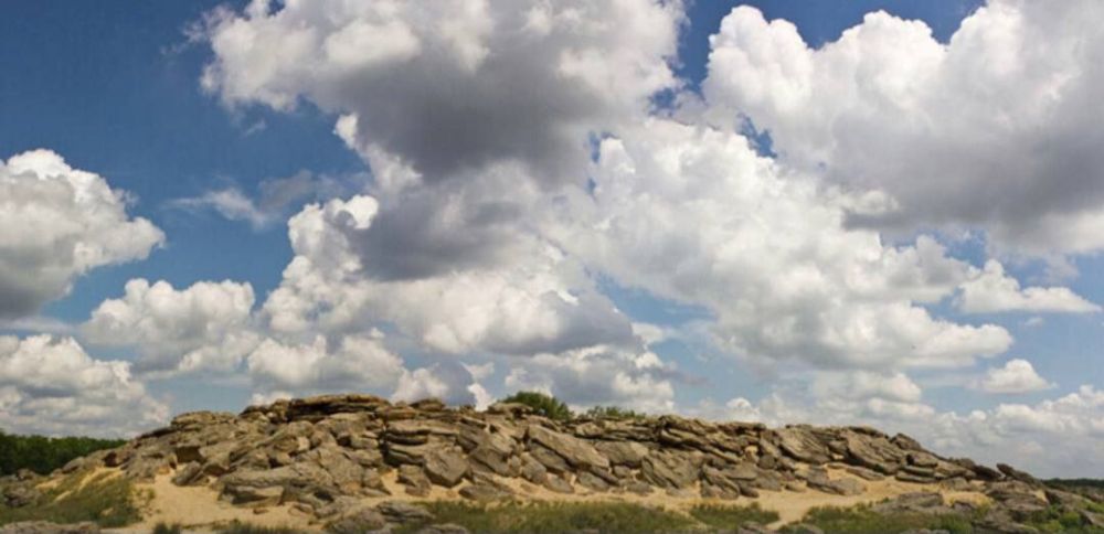 ������� ����������� ������� 12 ��������� ���������� ������������ ��������