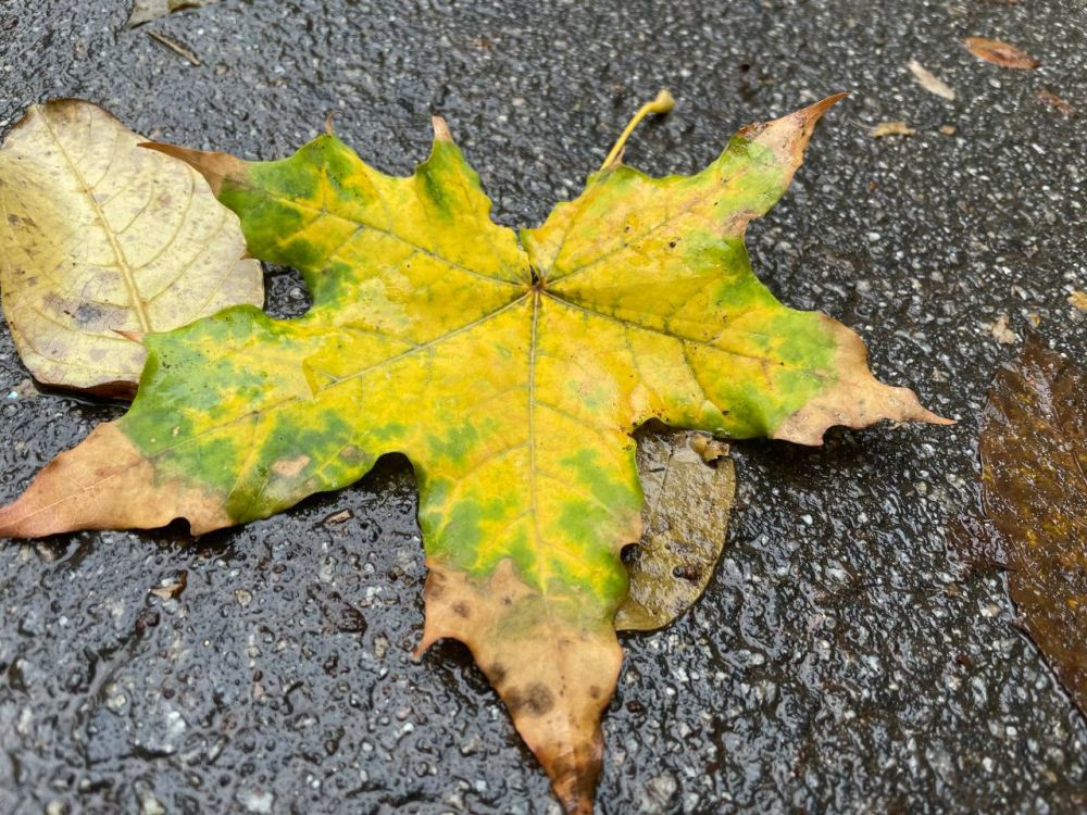 ������ �������. �������������� �� "�������������� �����"