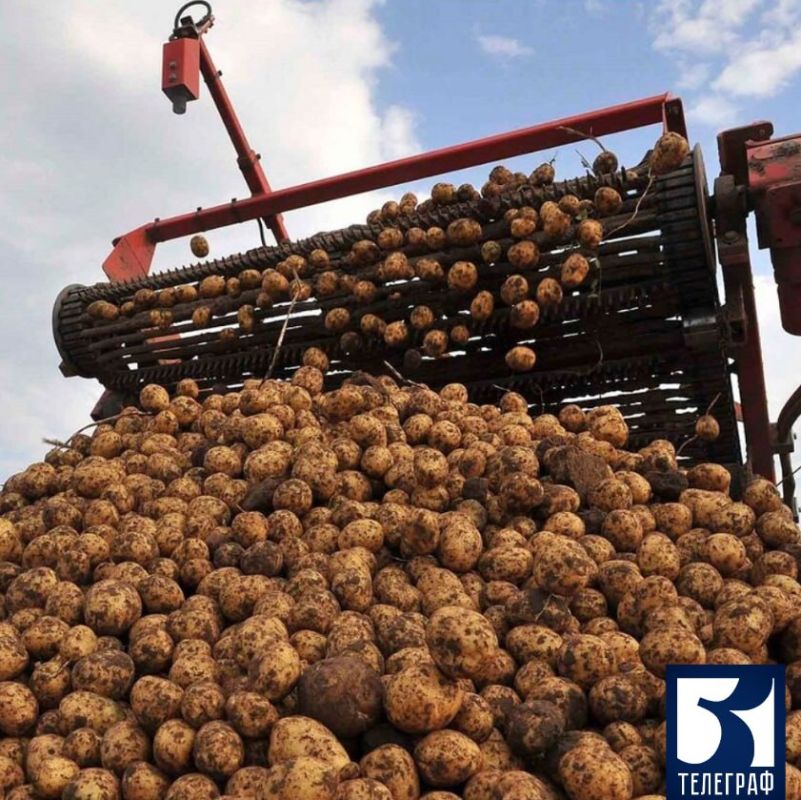 ����� 80 ����� ���� ������ ������� ������� ����������� �������