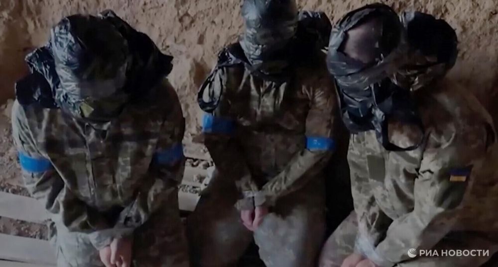 ���������� ������������� ���������, ��� ��� ������� � ��������