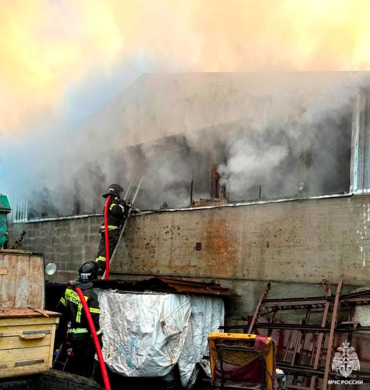 55 ���� �������� ������� ������� �� ������ � ���������� ������