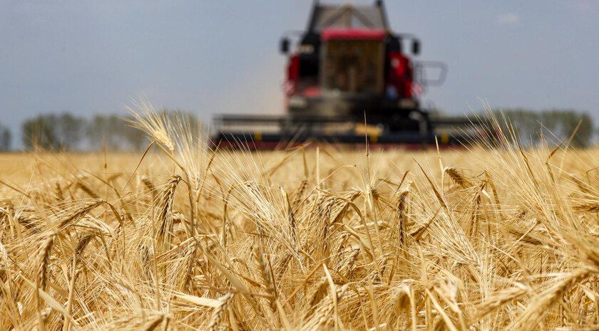 Песков: эксперты изучат предложения Турции о возобновлении зерновой сделки