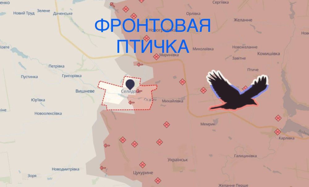 ��������. ����������� ���. 26.10 14:00