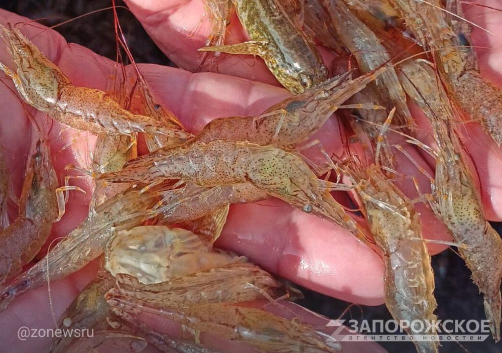 ������ ��������� ��������� ��������� ����