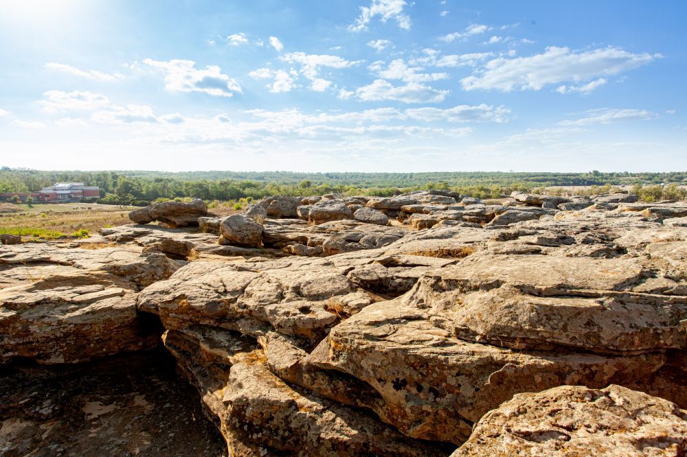 В 2025 году на "Каменной Могиле" появится уличная инсталляция "Скифский стан"