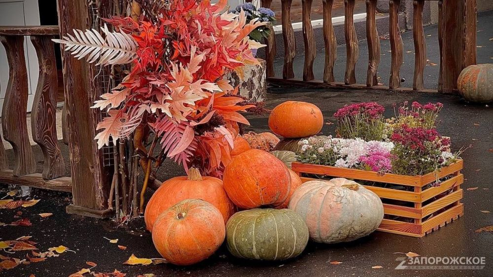 ������ �������� ��������. ���-������ ���������� ��������� ���� �� �����