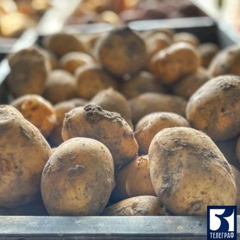 ������� ����������� ������� ������� 18 ����� ���� ���������