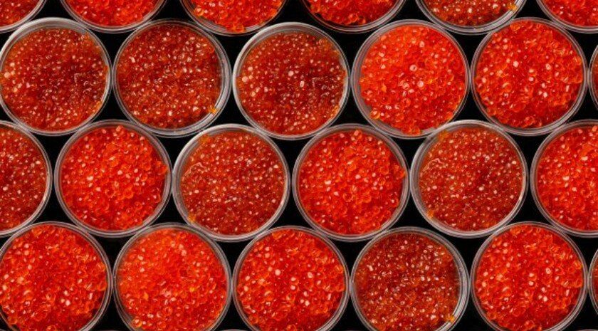 � ��������� ������ 700 �� ���� � ���� ��� ����������