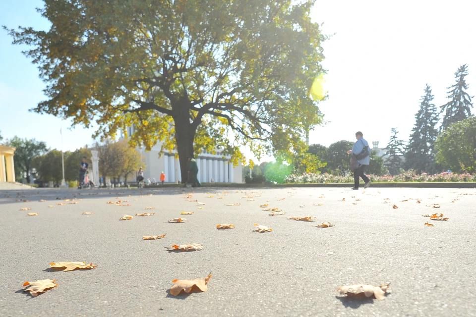 � ����������� ������� ��������� �� 15 �������� �����