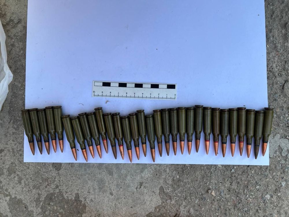 Полицейские Запорожской области изъяли боеприпасы