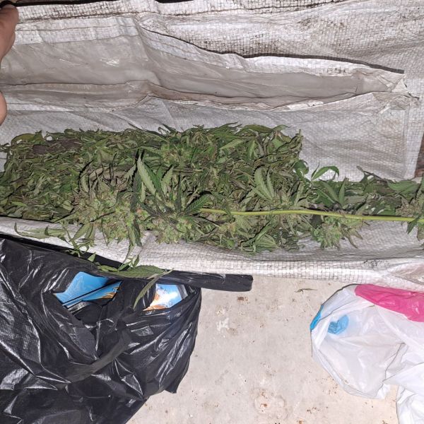 � ���������� ��� ������ ��������������� ��������� ����������� ���������� � ��������� �������� ���������� ������� �������