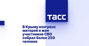 В Крыму конгресс матерей и жен участников СВО собрал более 250 человек