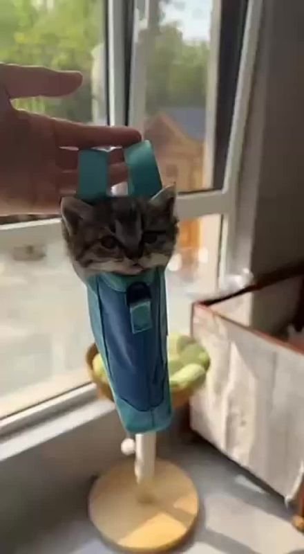 ���������� � ����� ���� � ��������� ������� ���� �� ���� ������