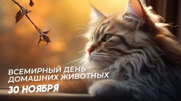 30 ноября Международный день домашних животных