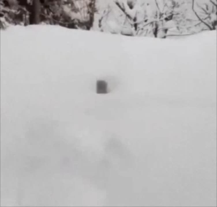 ������ ��������� � �������, ����� ������ ��������� ��� ���� �� ����� ����