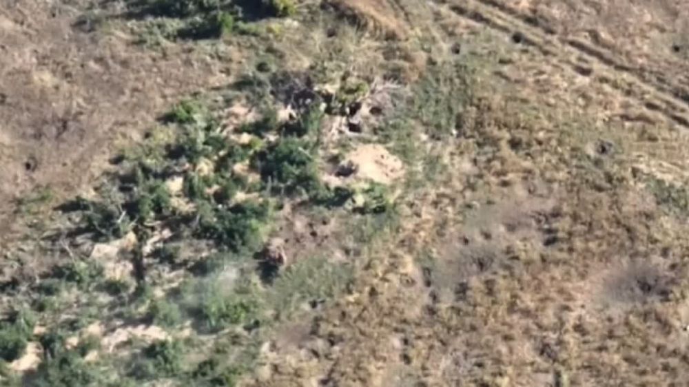 �������� �����: FPV �������� ���������� ������� �� ����������� ����������� � ������ �.�