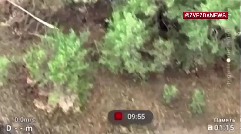 ��������� �� ����������� ������������ ������� ��� FPV-���� � ����������� �������