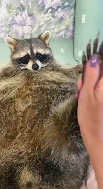 Доброе утро, друзья! Хорошего вам дня и отличного настроения!