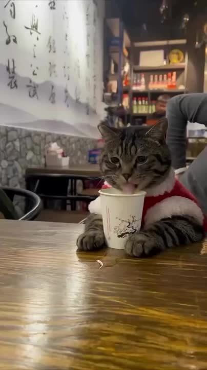 ���������� � ������ � ���������, � �������� � ������ ������� ������ ����!