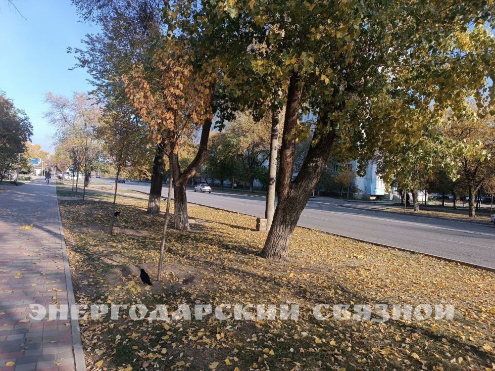 Дорогие друзья!. Пусть этот день принесет вам радость, тепло близких людей и уют домашнего очага