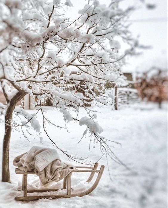 � ������ ����� ����