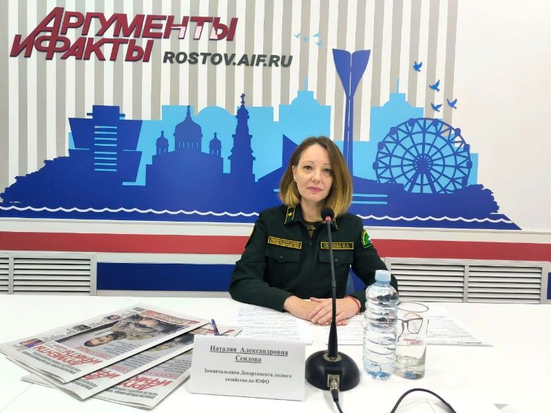 Лесные планы сроком на 10 лет в ДНР, ЛНР, Запорожской и Херсонской областях примут в 2025 году