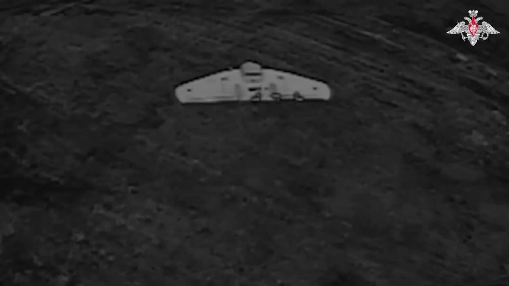 �������� FPV-������ ����������� ����������������� ���� ���������� ���� �Grey Widow�