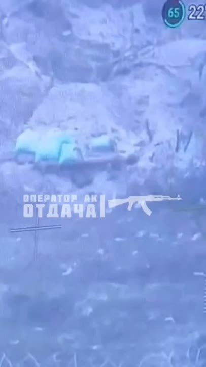 ��������� �����������.. ������ �������� �������� ������������ ����� �������� ������