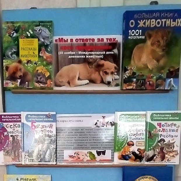 ������������ ���������� ������������ ������� �������� �� ���, ��� ����� � ����