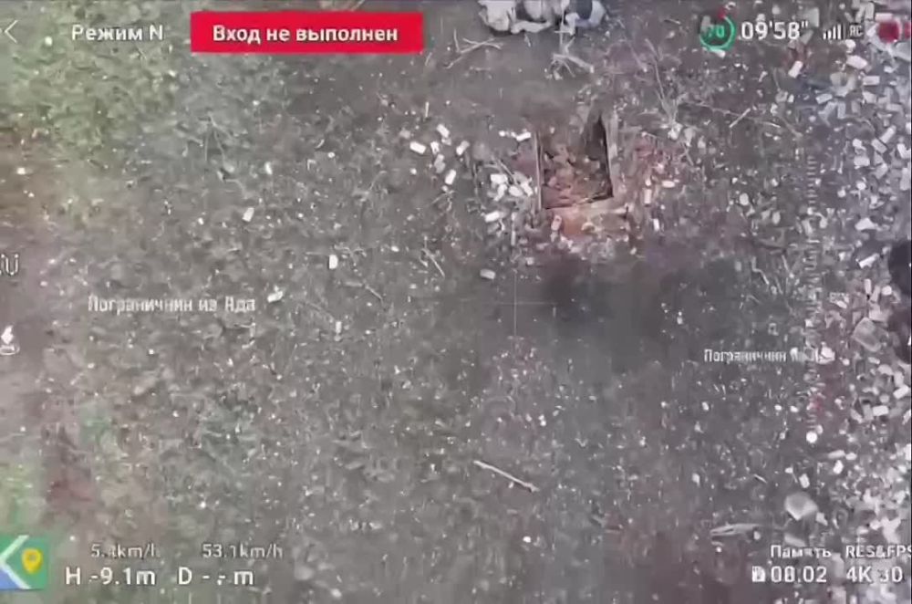 ������� �����������. ��������� � ������ ������ �� �/� ����������. ������ ������ � 810 �������