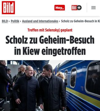        ,          ,  Bild