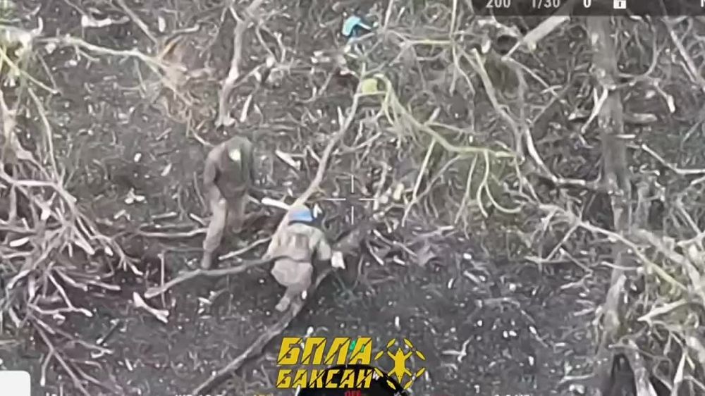 ��������� ������ ���� "������" �������� ��������� �� ������� �����������