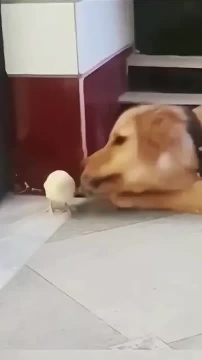 ������ ���� ������� ������������!