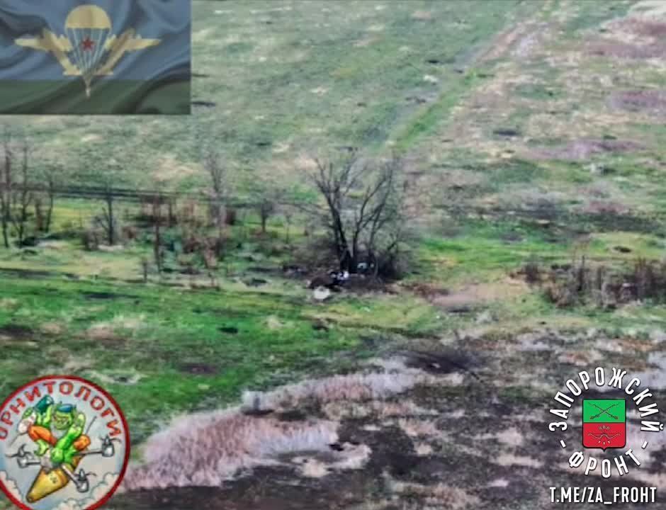 ���������� � ������������ ����������� ���������� �������� ���������