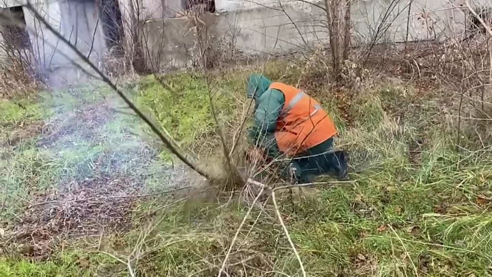 � ���������� ���������� ���������� ������������������� ������