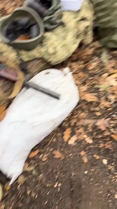 ������� �������. ������ ���������� ������������ ������� �� ������� ������� fpv, ������� ����� ��������� ������� ���� �� ��� �����������