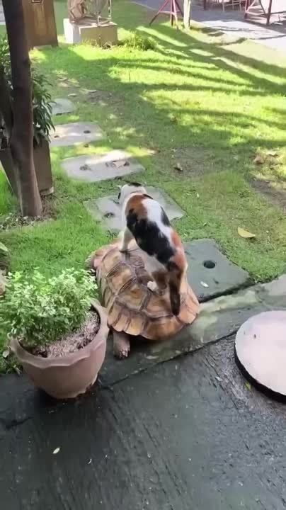 ������ �� ������ � �������