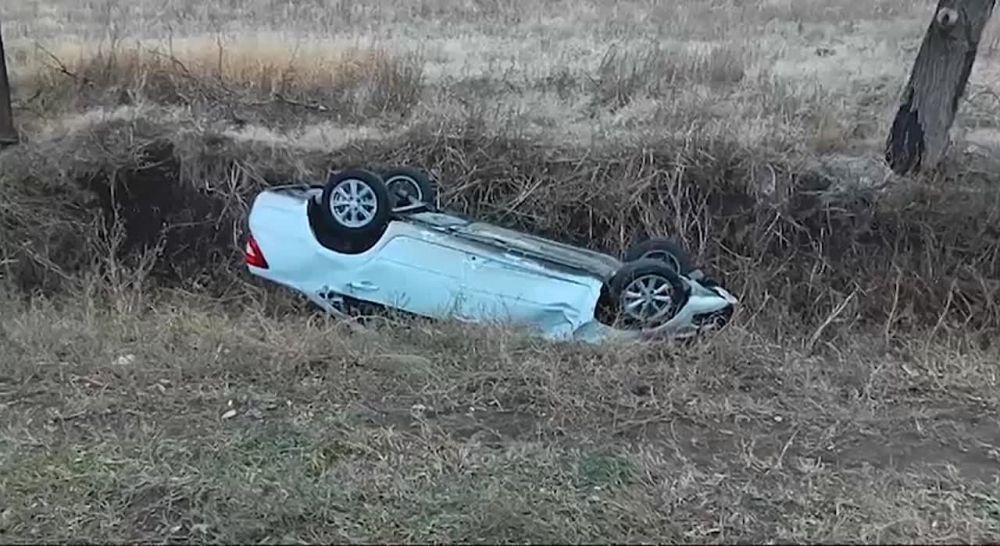 �� �������� ������ �� ���������� ����������� ������� ���������������� 11 �������-������������ ������������, � ������� 1 ������� ����� � 19 ���� ������������