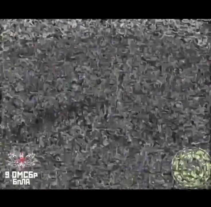 FPV-����� ���������� ������������ ��� �� ����������� �����������