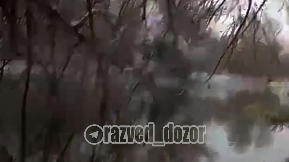 ����� 44 �� ����������� "�����" ��������� ������������ ��� � ������� ���� �������� � ��������������� ����� �� ���