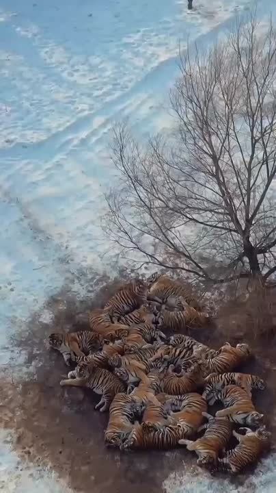 ������� �������... ��, � ������ ������ �������!