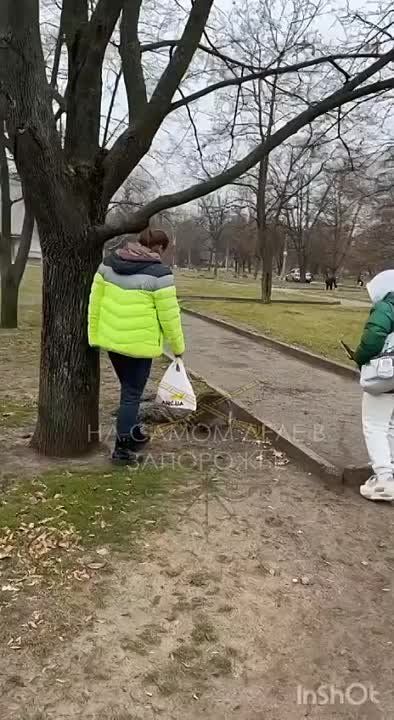 ���� � ������. ���������� ������� �������� �� �������. ������ ��������� ����� �������� ������������������ � ��������, ���������� ������� ������� � ���, ��� ������� ���� ���� ����. ������� ��������, ��� ������� ������� �...