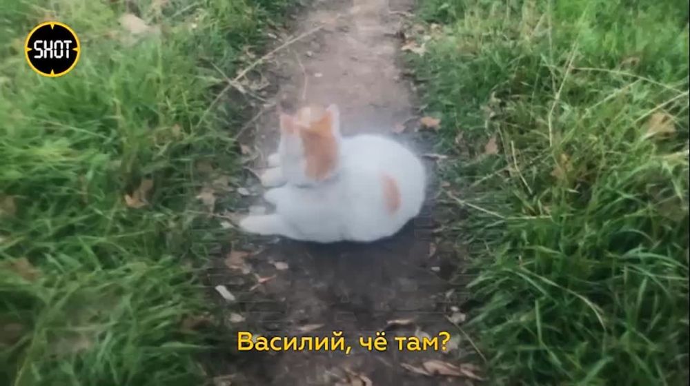 ����� ������ ��������� ������������� ����� ������� �� ��������